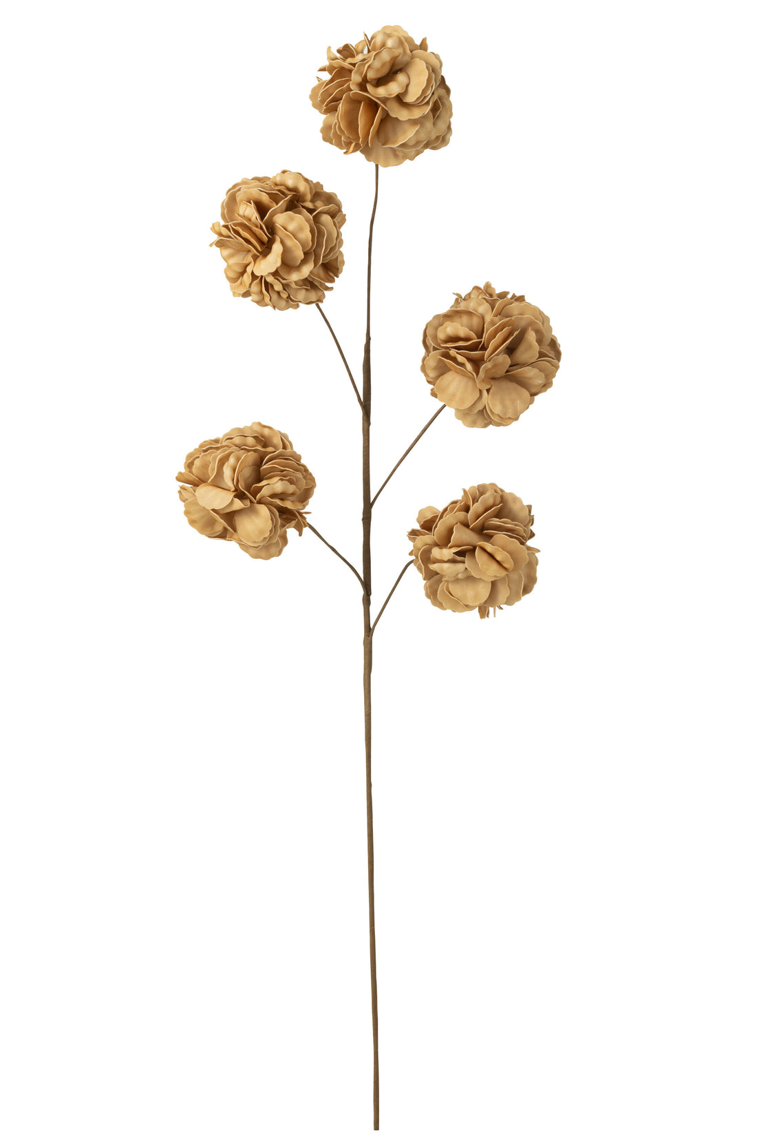 Bloementak 5 Pompoms Eva Mais