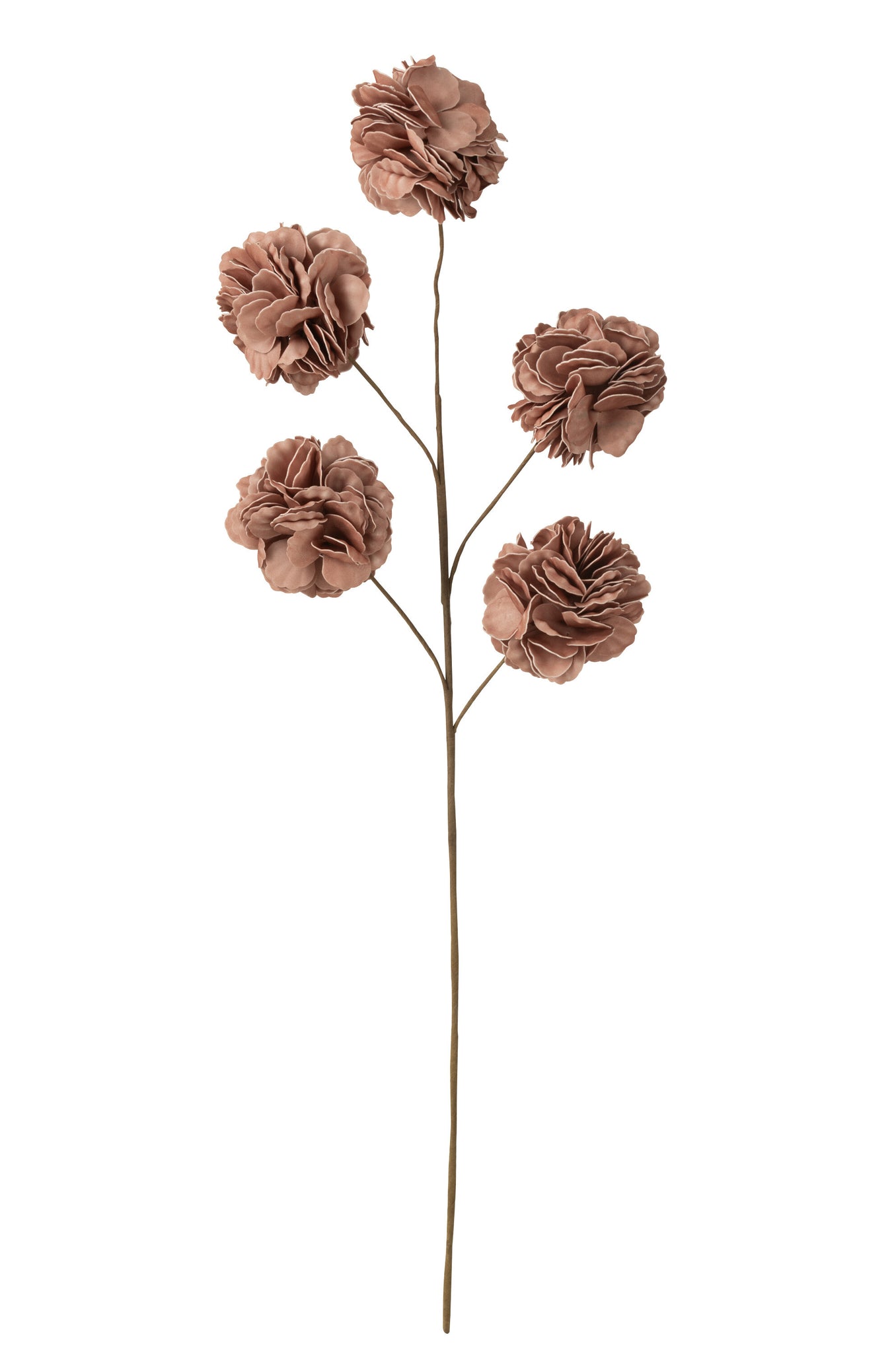 Bloementak 5 Pompoms Eva Naaktroze