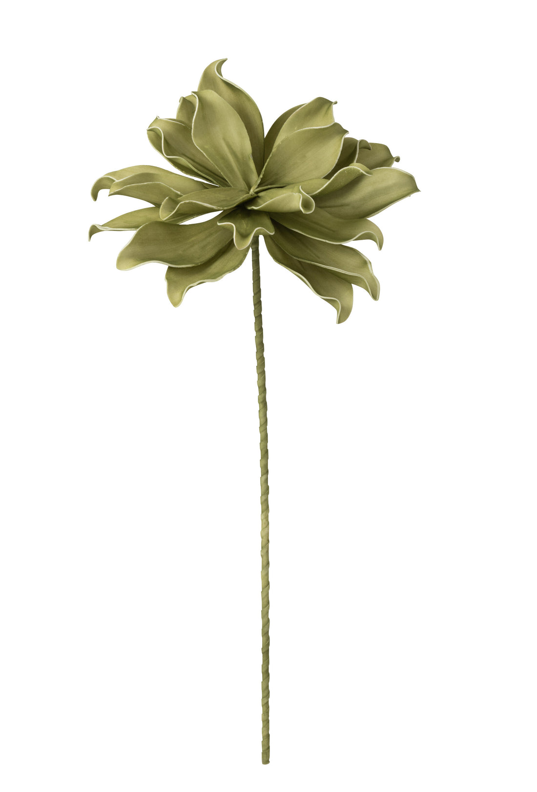 Bloementak 1 Hoofd Eva Groen