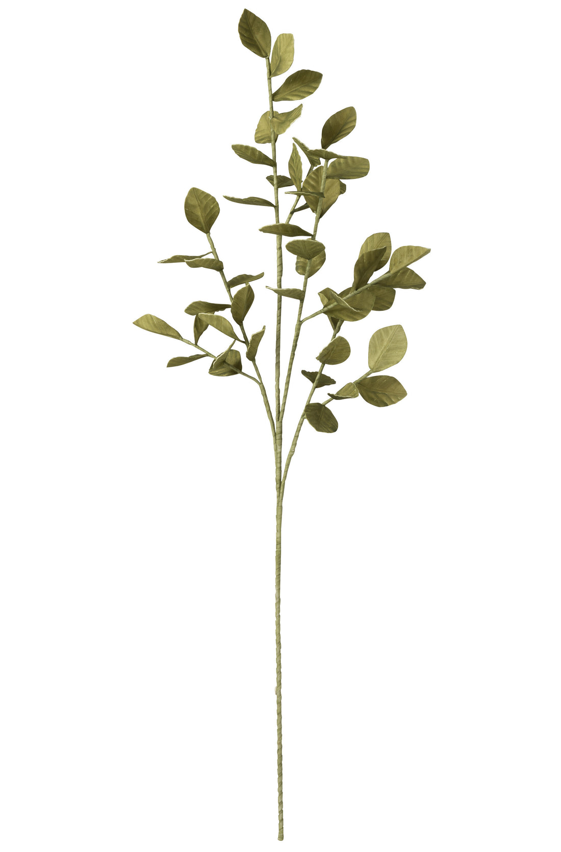 Tak Bladeren Eva Groen