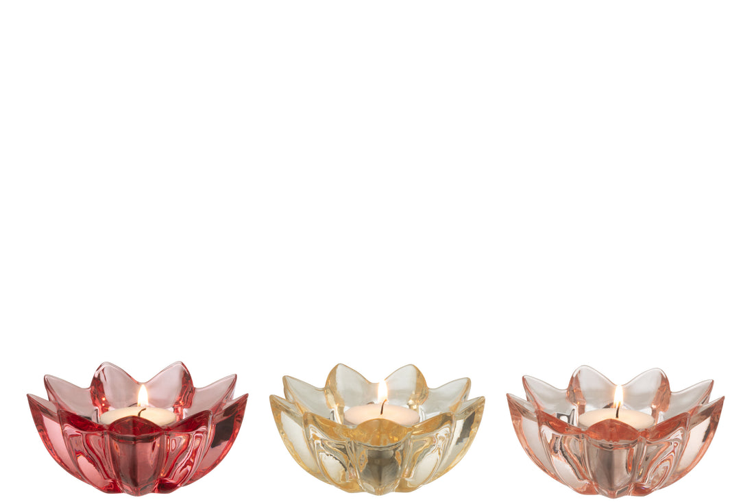 Theelichthouder Bloem Warm Glas Mix Assortiment Van 3