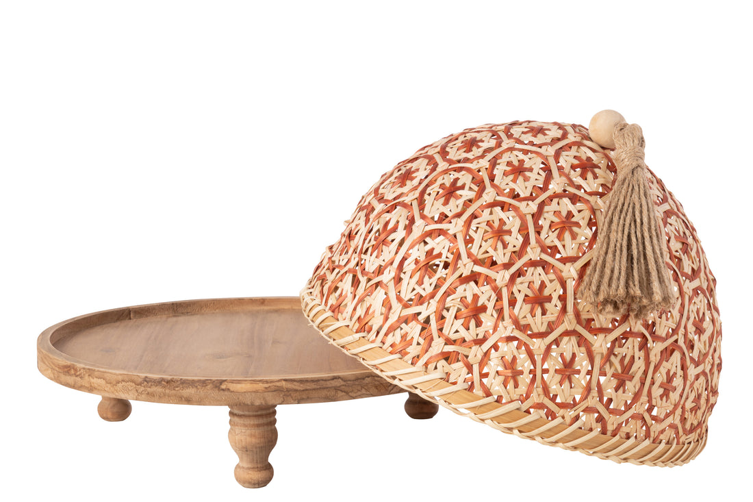 Vliegenkap Voedsel Vuurhout Natuurlijk