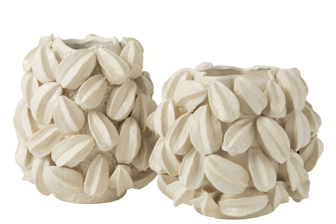 Vaas Botanica Cacaopeul Breed Klei Beige