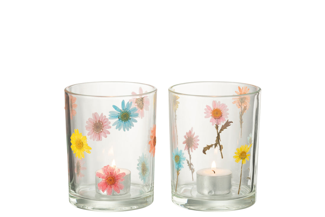 Orkaan Posy Groot Glas Mix Assortiment Van 2