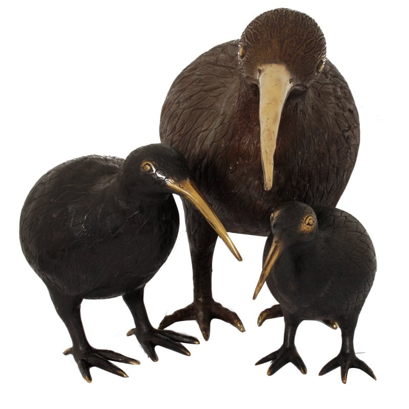 H28 Kiwi Vogel M