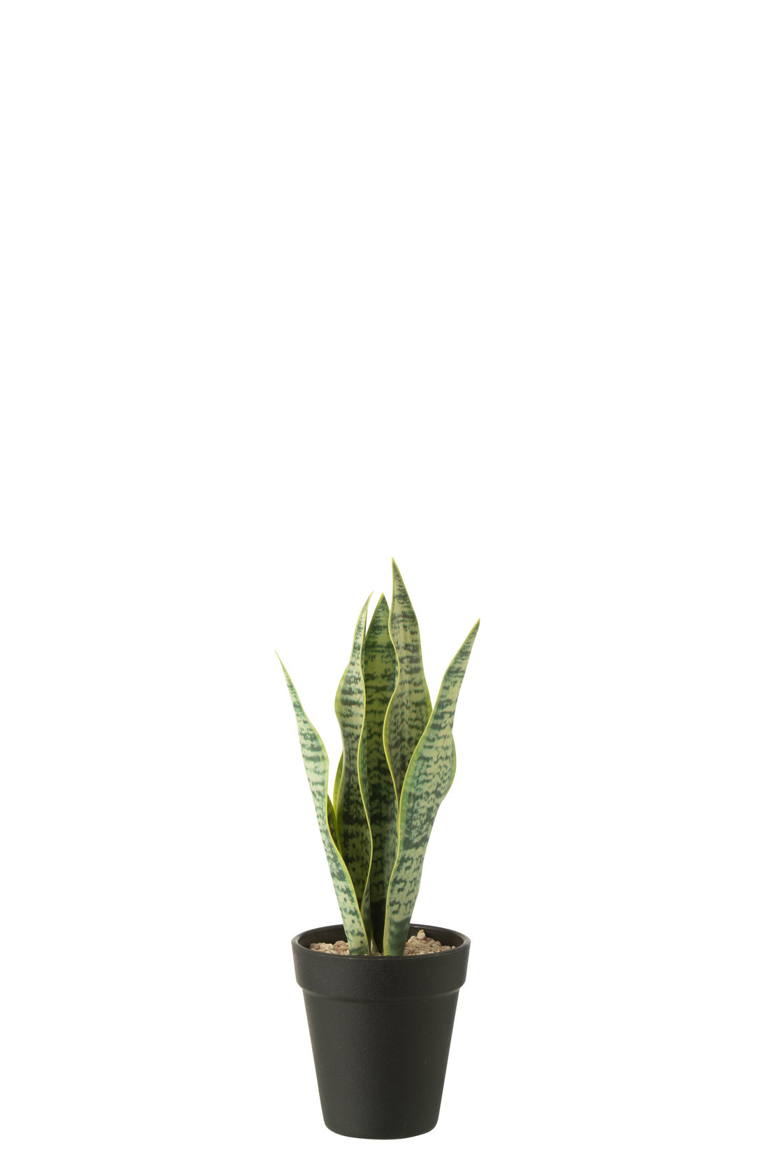 Dracaena Trifasciata In Pot Kunstmatig Groen Klein
