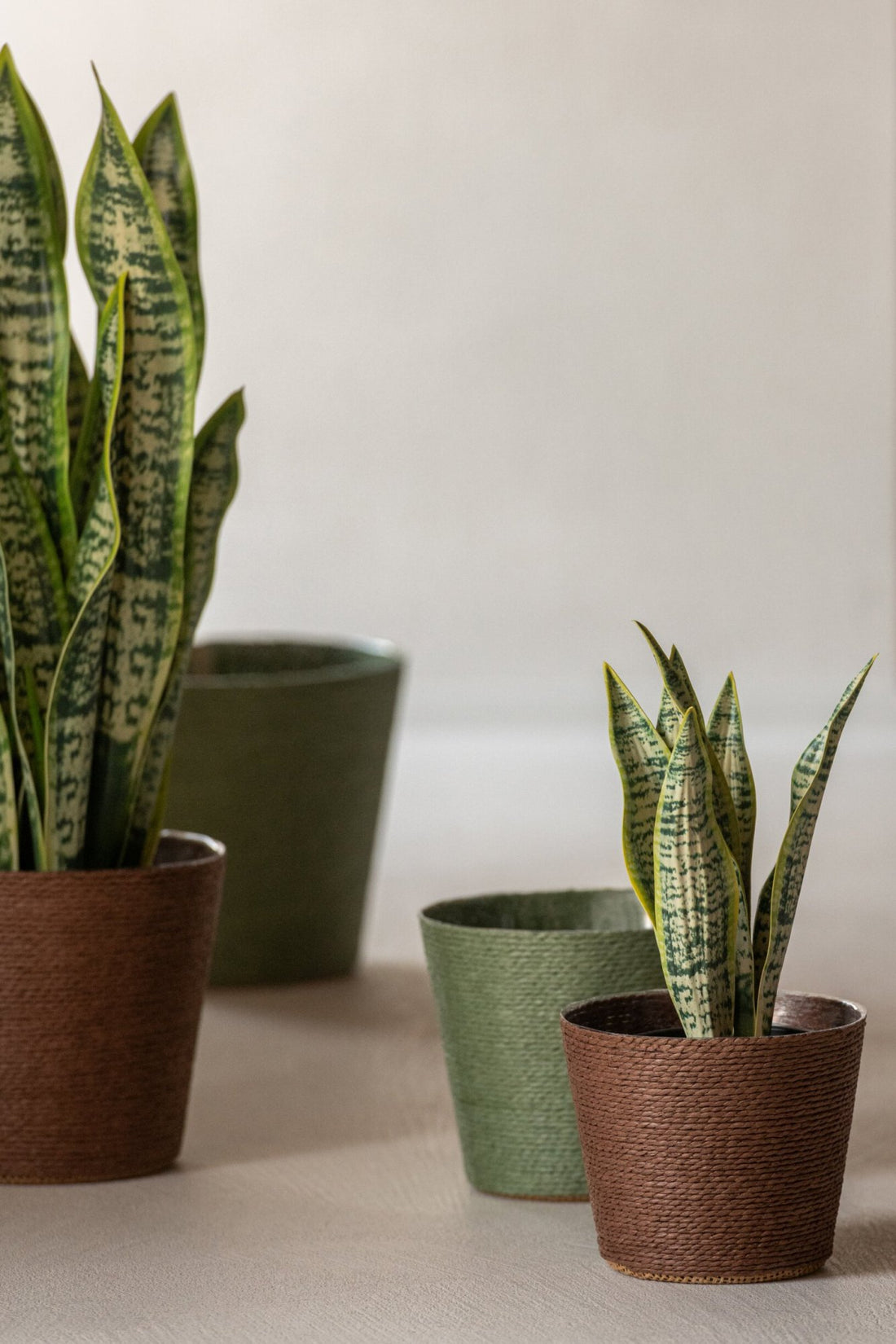 Dracaena Trifasciata In Pot Kunstmatig Groen Groot