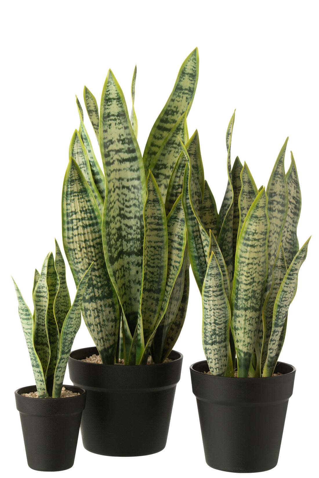 Dracaena Trifasciata In Pot Kunstmatig Groen Groot
