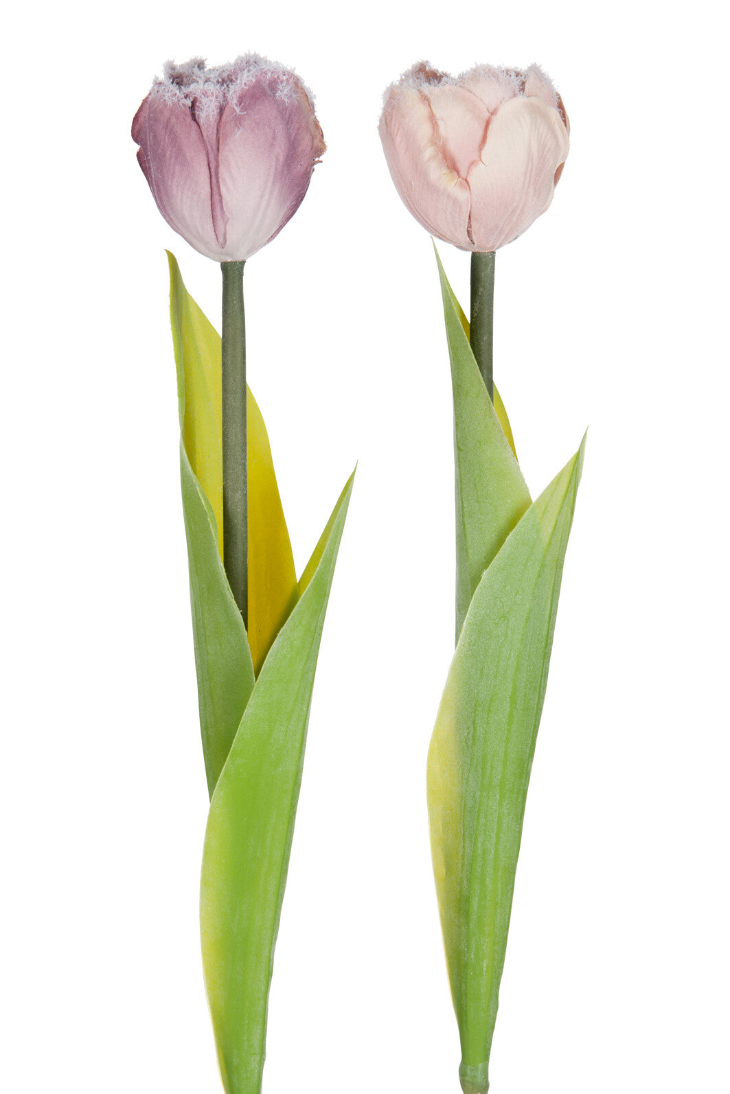 Eland Slee Polyester Beige