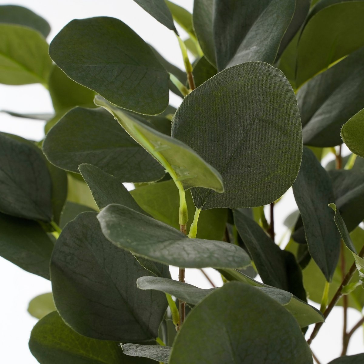 Eucalyptus Kunstplant in Bloempot - H75 x Ø15 cm - GroenÂ