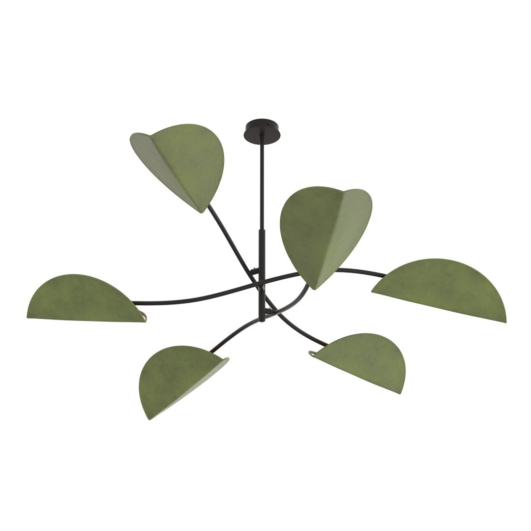 LOTUS 6 BL GROEN