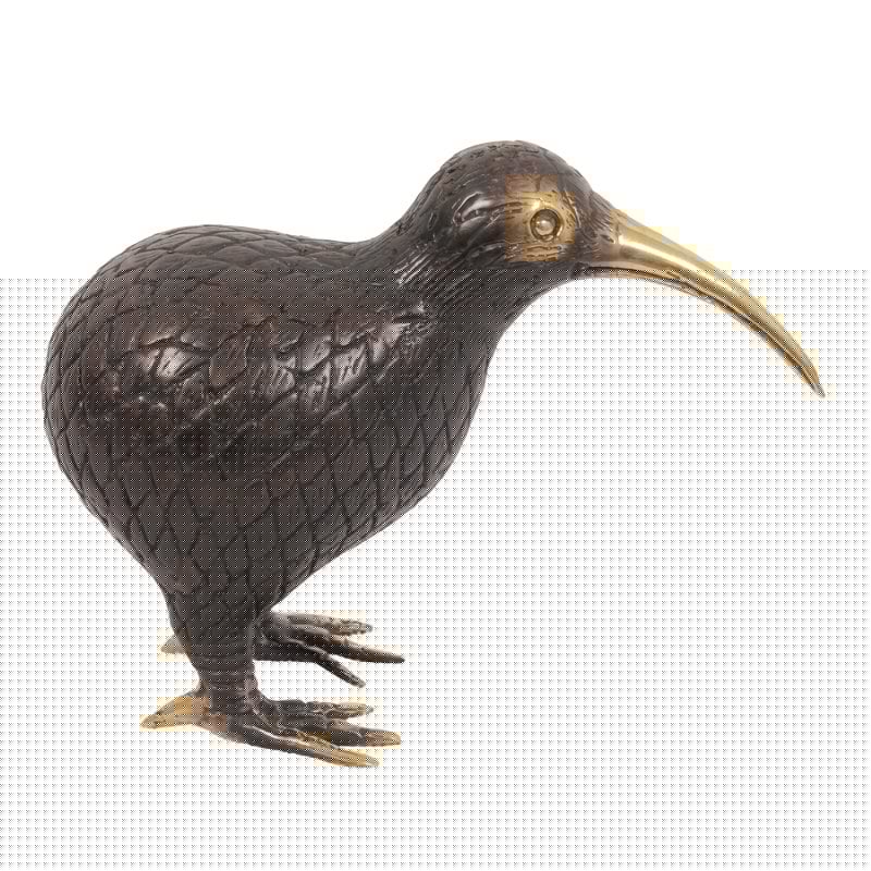 N2 Kiwi Vogel Mini