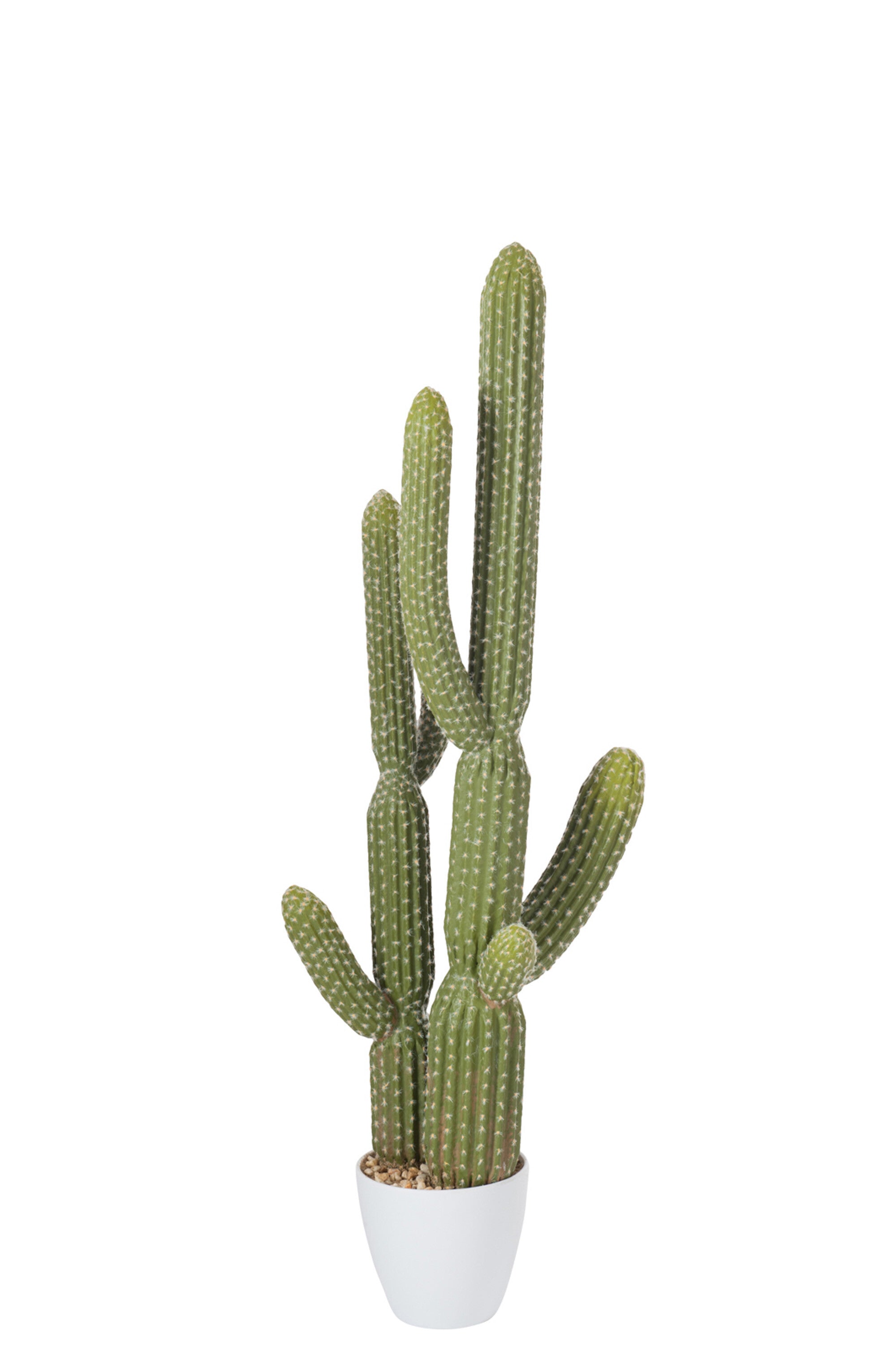 J-Line Cactus+Pot Kunststof Groen/Melamine Wit groot