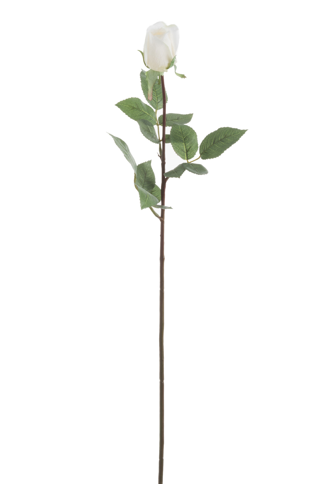 J-Line Roos Dicht Fresh Touch Plastiek Wit