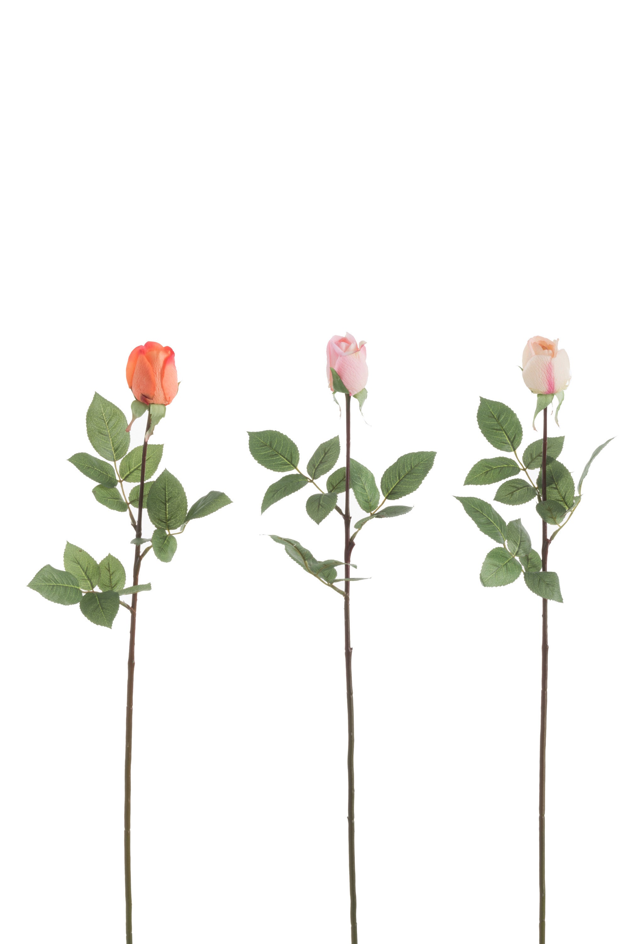 Roos Gesloten Fresh Touch Plastic Oranje/Roze Mix Assortiment Van 3