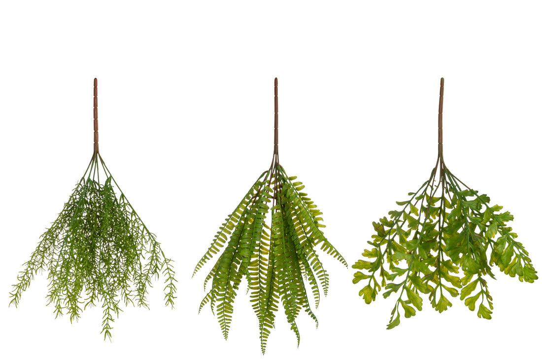 Tak Varen Mix Plastic Groen Assortiment Van 3