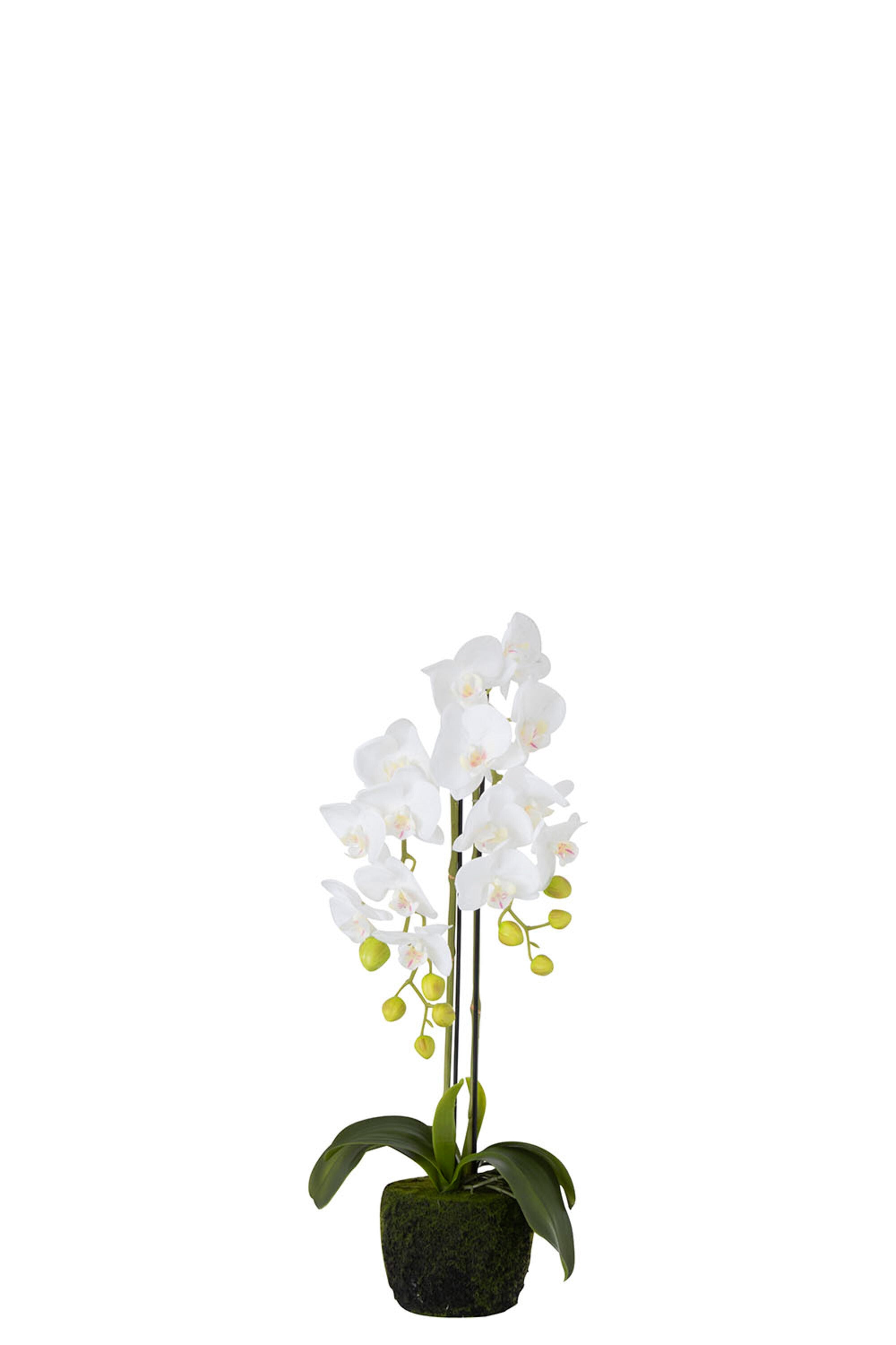 J-Line Orchidee Fresh Touch Wit Klein