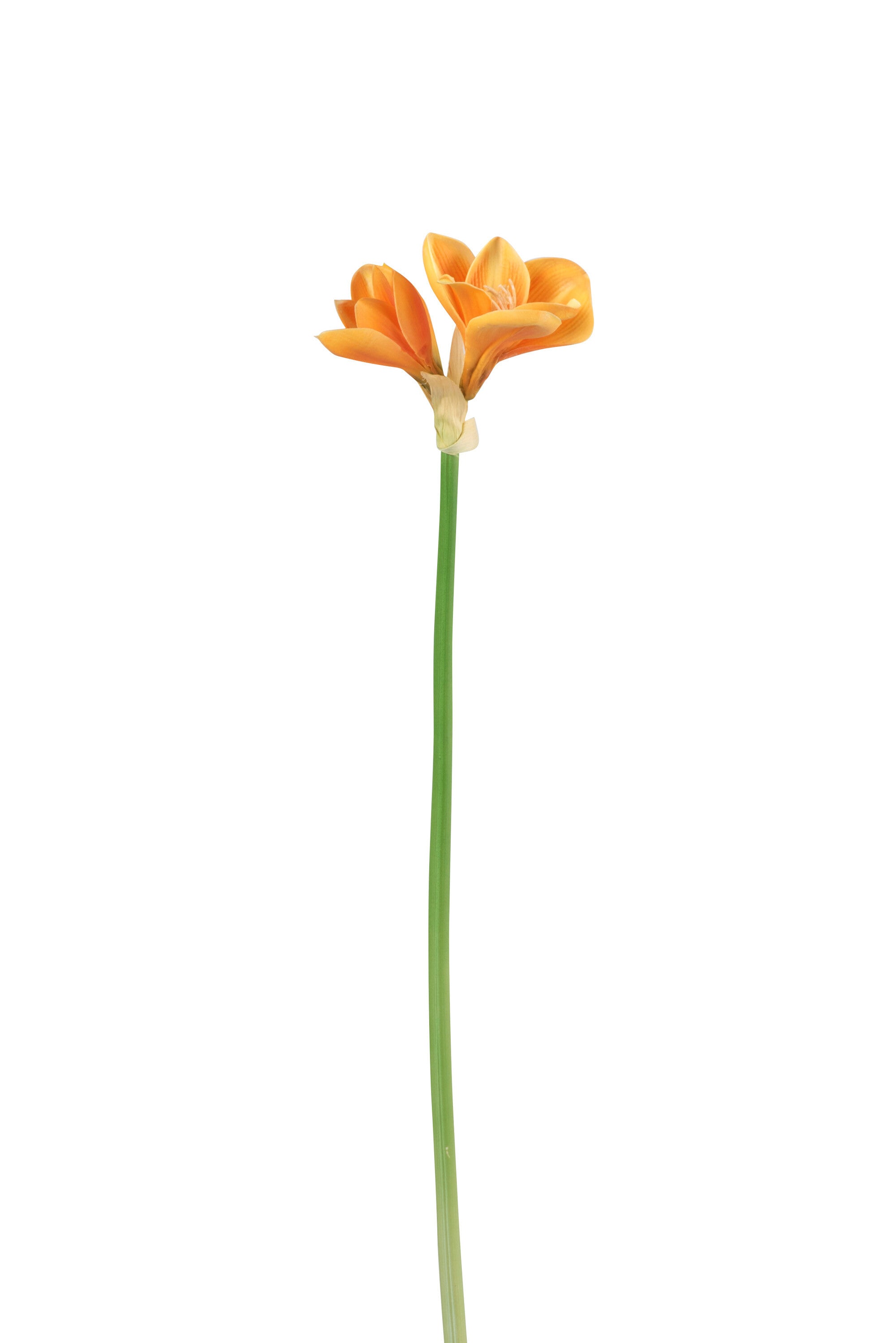 J-Line Amaryllis 3 Bloem Plastiek Licht Oranje