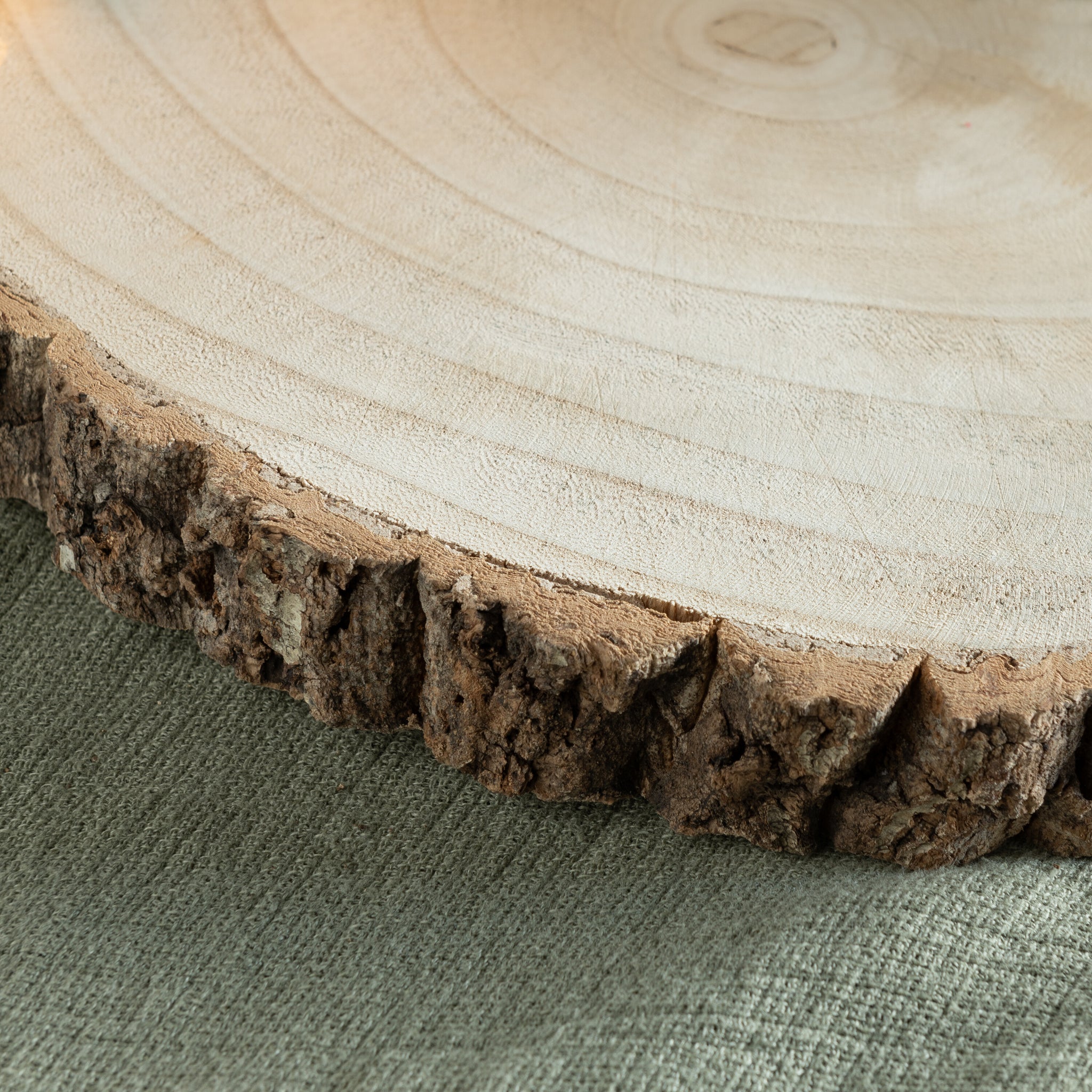 Schijf Onregelmatig Paulownia Schors Natuurlijk Groot