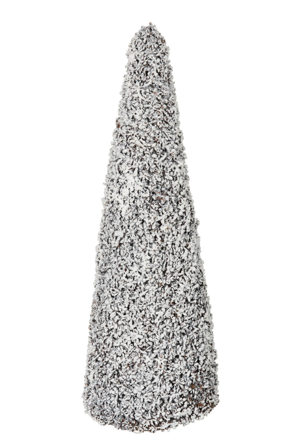 Kegel Bruin Besneeuwd Groot