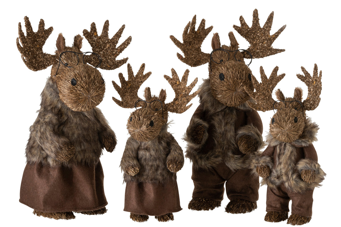 Elk Staande Stro Bruin Groot Assortiment Van 2
