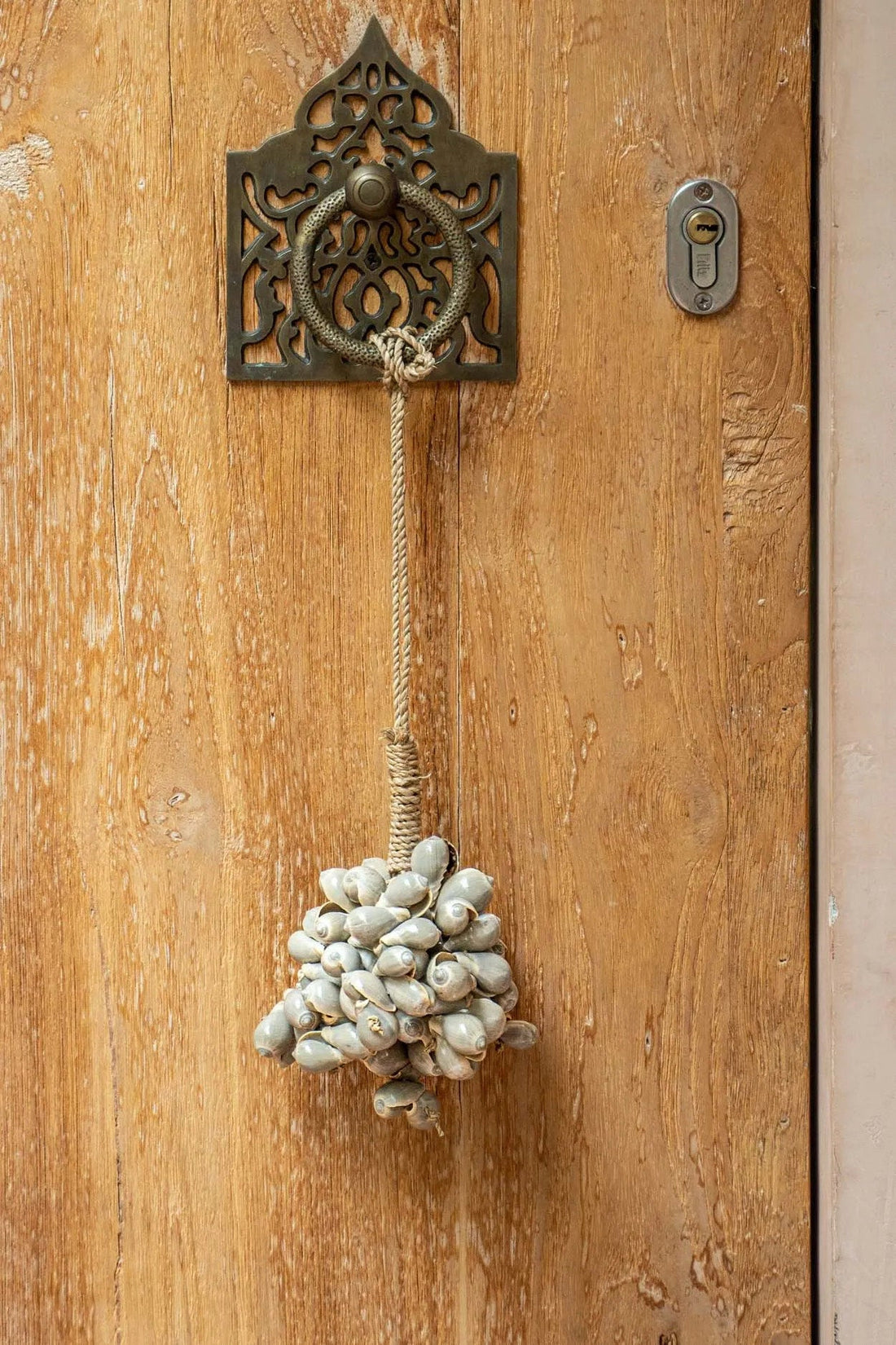 De grijze schelpkwast