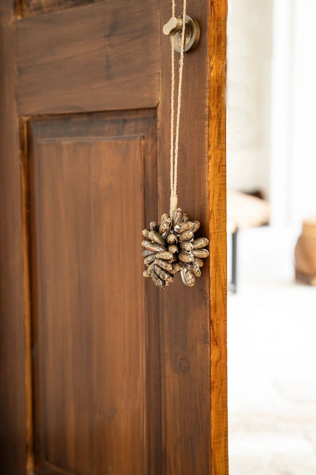 De bruine kaurischelpkwast