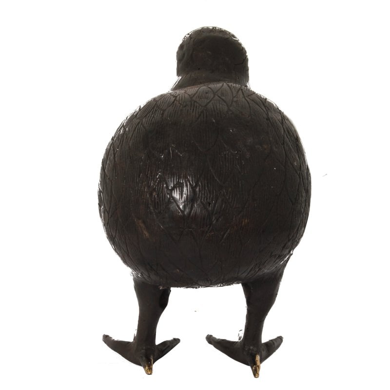 H28 Kiwi Vogel M