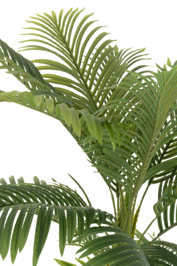Areca Palmboom Pot kunststof Groen