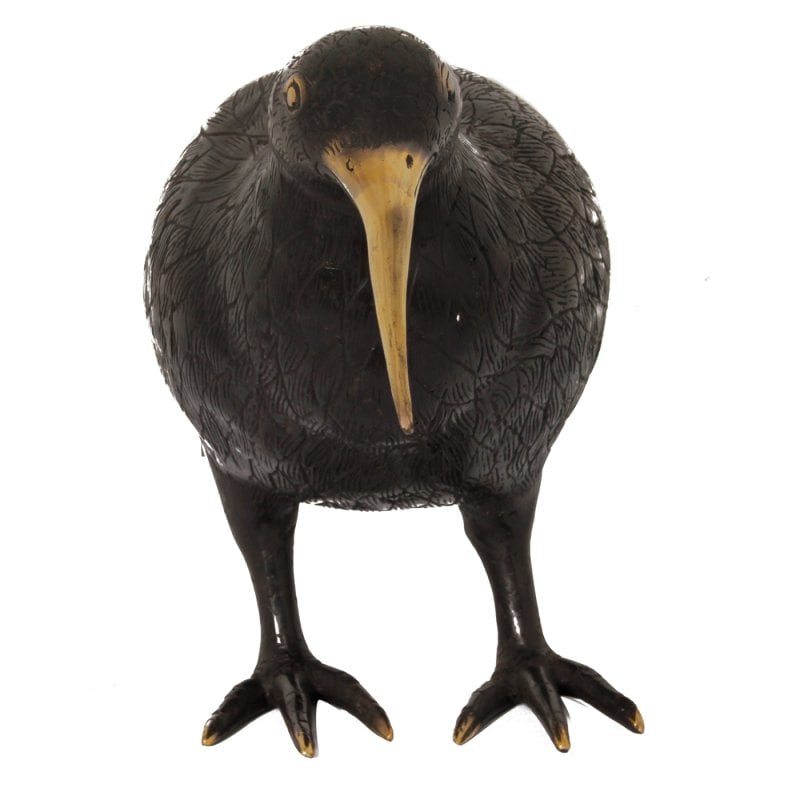 H28 Kiwi Vogel M