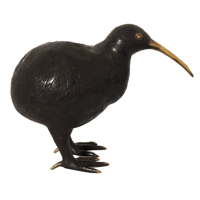 H28 Kiwi Vogel M