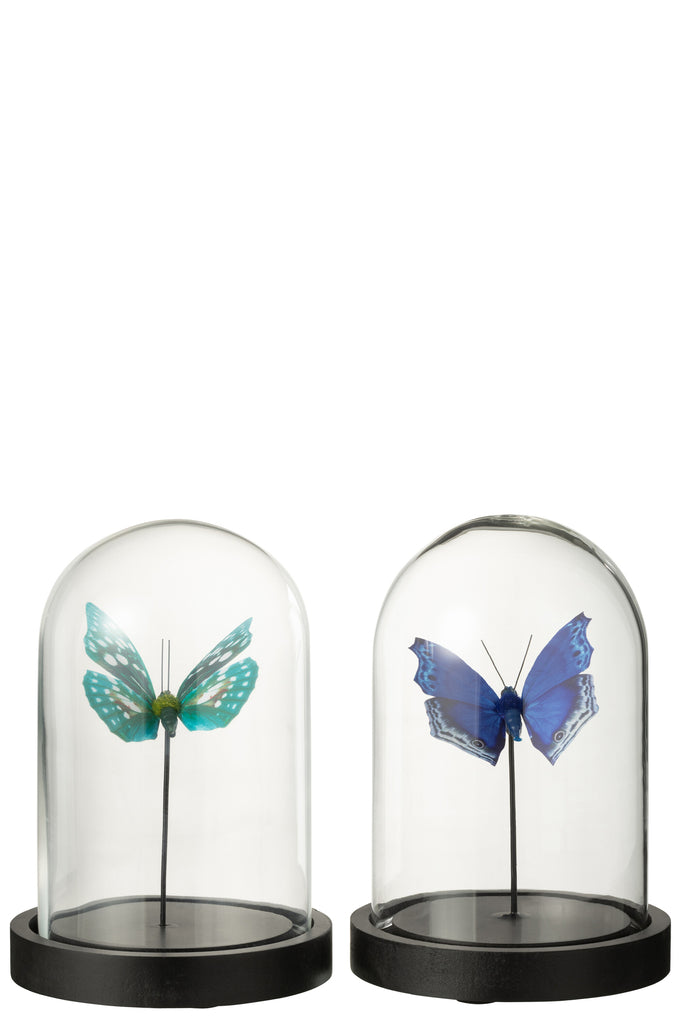 Stolp Vlinder Glas/Papier Blauw Klein Assortiment Van 2