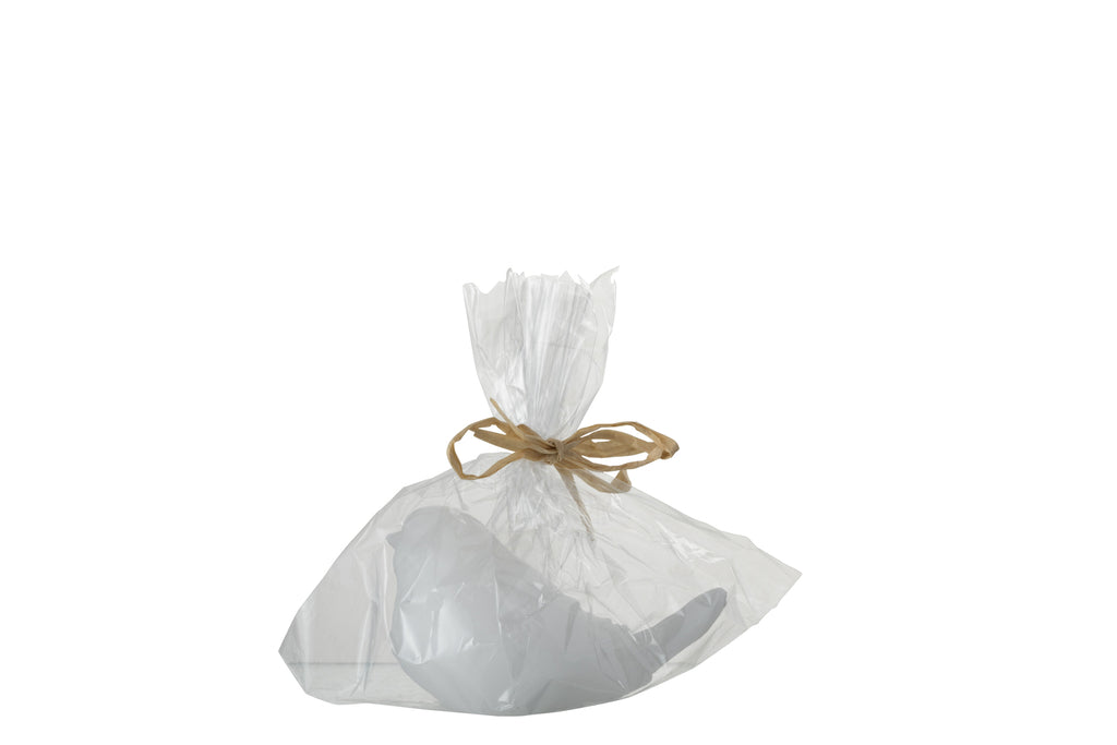 Vogel leidde was wit klein