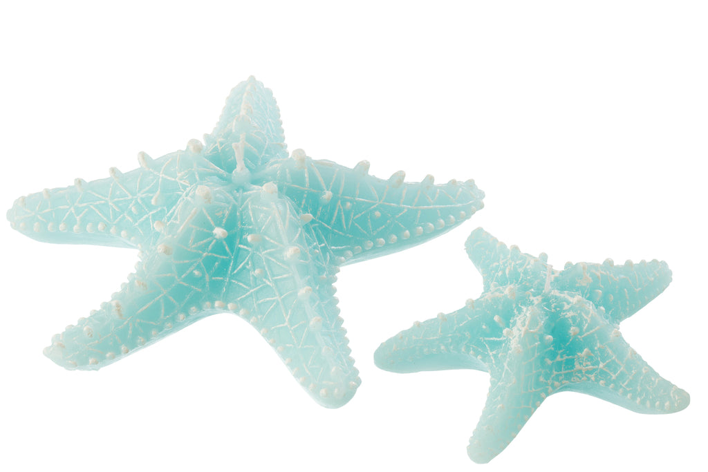 Kaars Zeester Vis Wax Azuurblauw Groot-3Uren