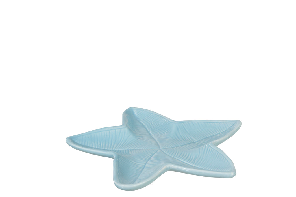 Schotel Zeester Porselein Blauw