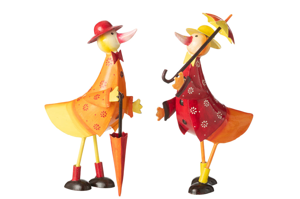 Duck Umbrella Iron Mix Assortment Of 2