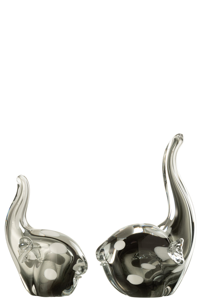 Elephant Glass Transparent/Black Large