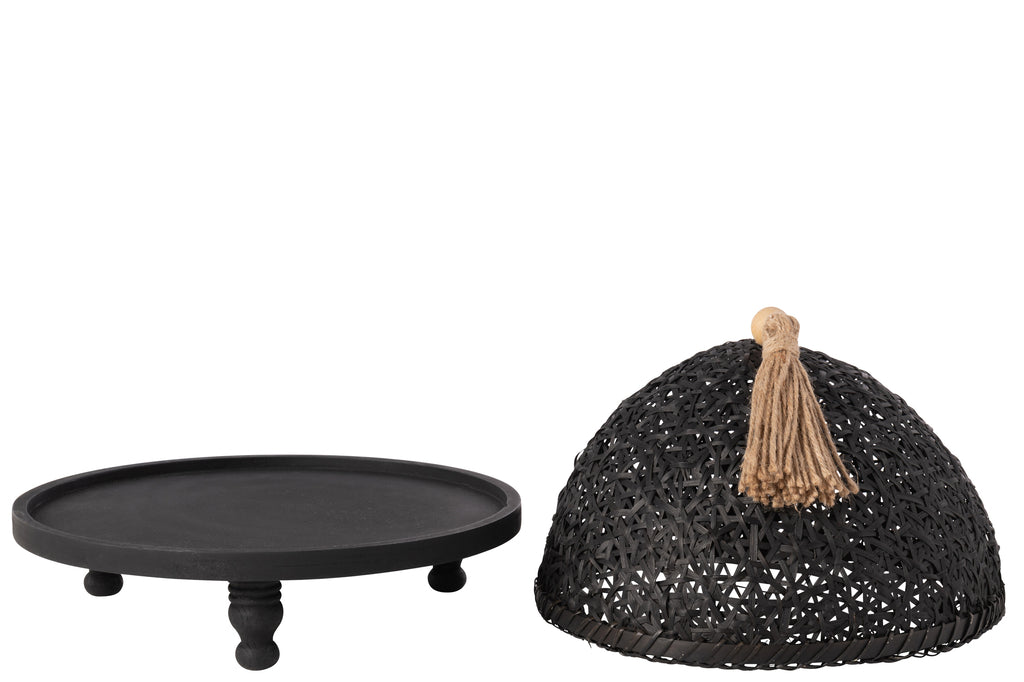Vliegenkap Food Fir Wood Black
