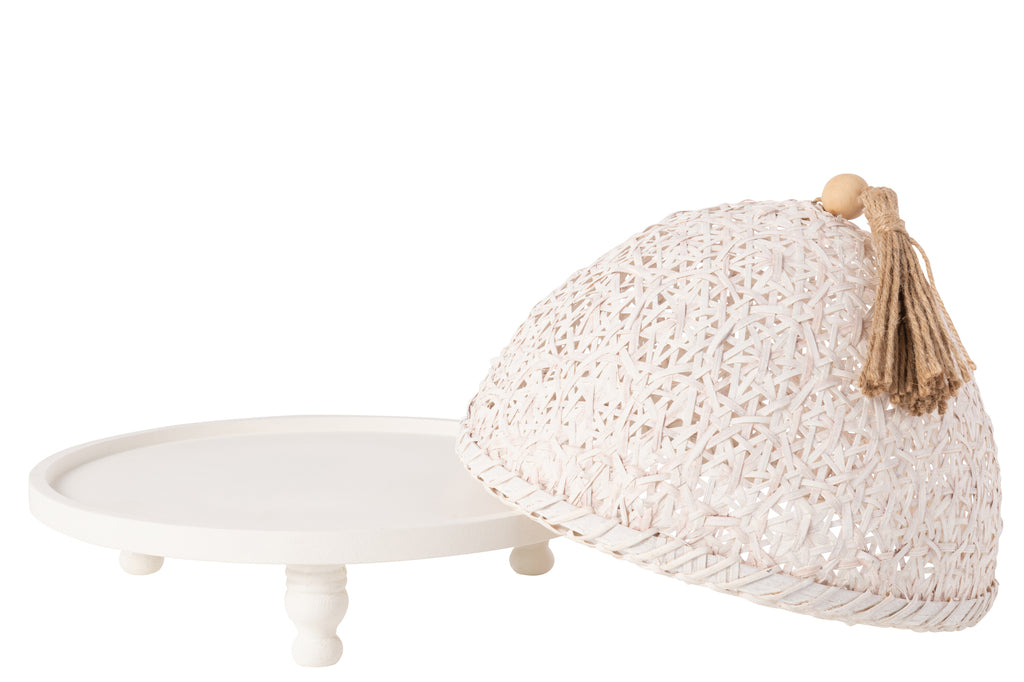 Vliegenkap Food Fir Wood White