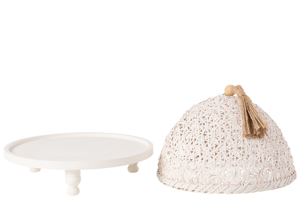 Vliegenkap Food Fir Wood White
