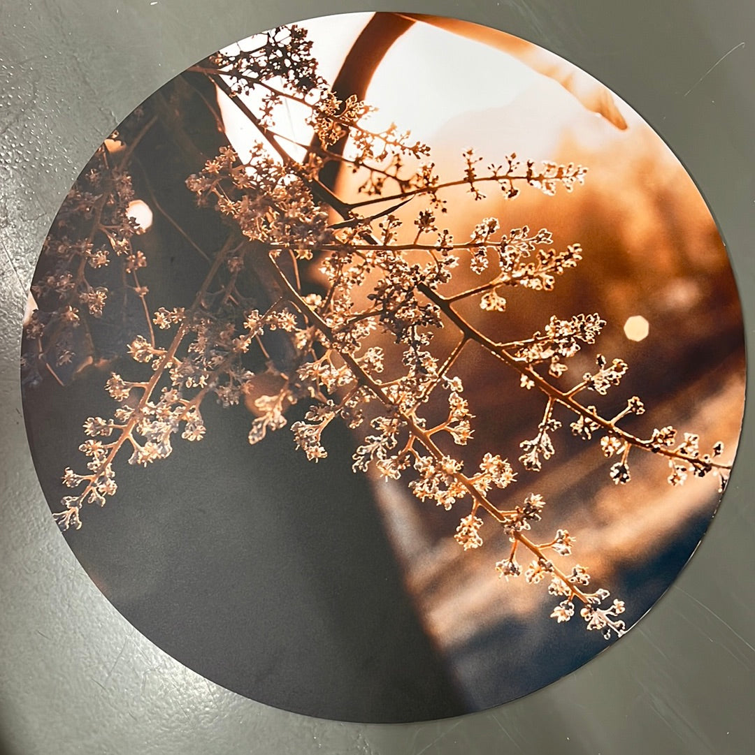 Label2X 60 cm 80 cm - Forex - Woods woonaccessoires homedecoratie