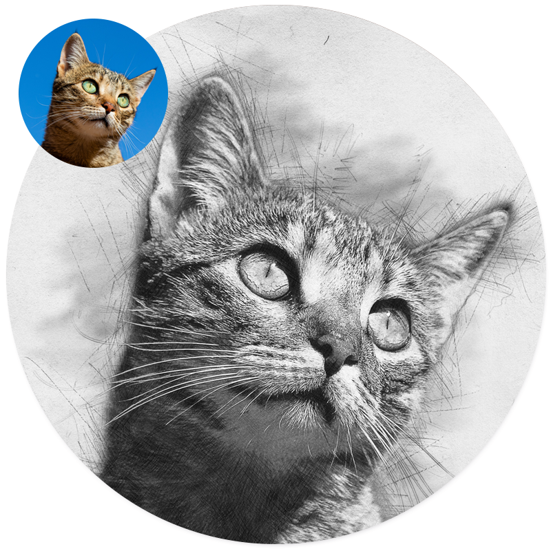 Label2X Muurcirkel Cirkel met eigen digitaal getekende foto woonaccessoires homedecoratie