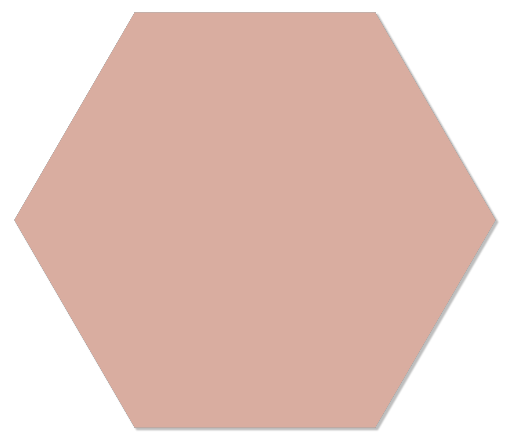 Label2X Muurhexagon Muurhexagon effen zalm