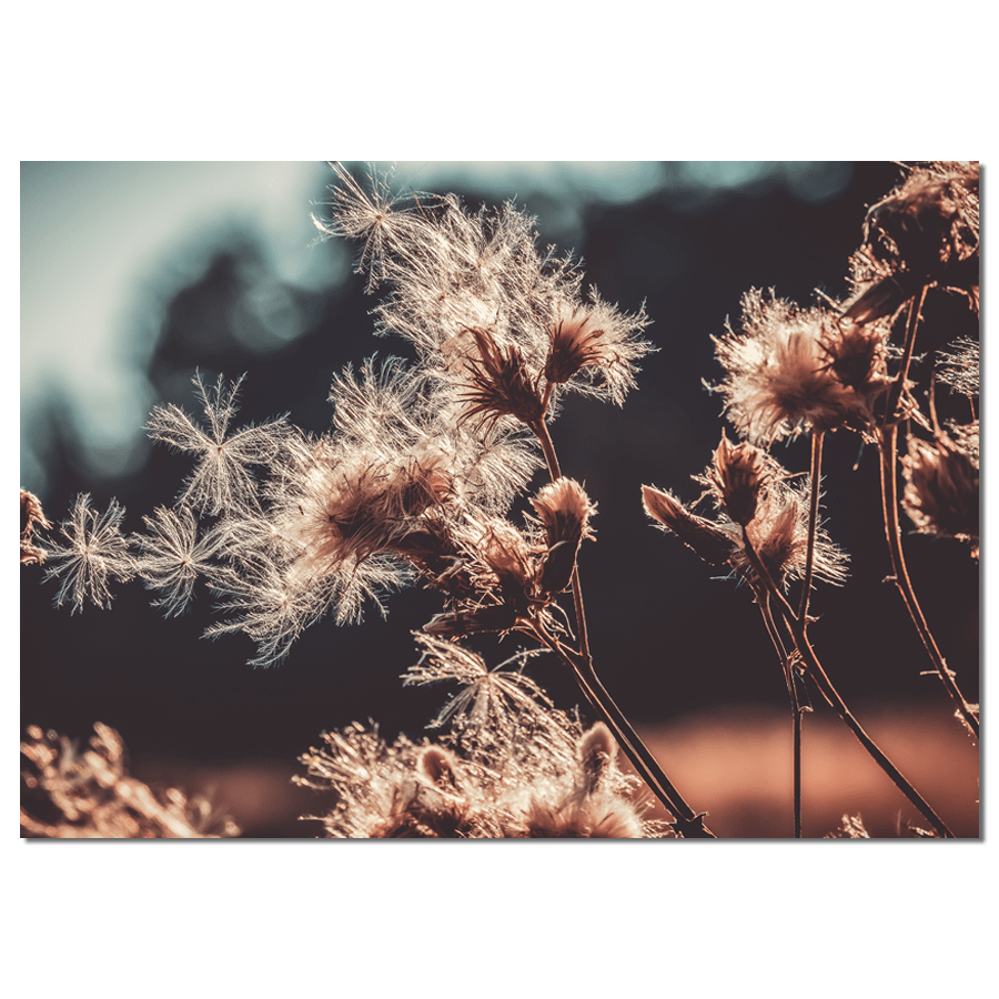 Label2X Muurrechthoek Muurrechthoek droogbloemen