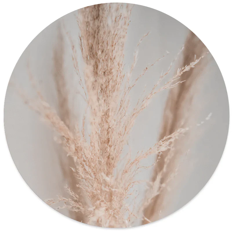 Label2X Pampasgras light Forex 60 cm woonaccessoires homedecoratie