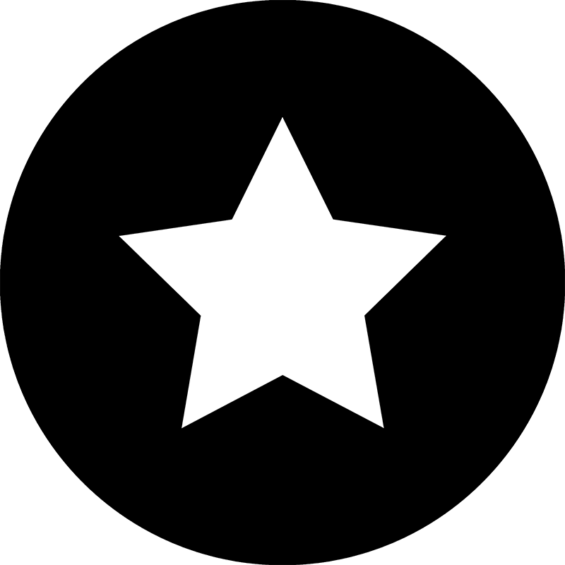 Label2X Ster zwart Forex 40 cm woonaccessoires homedecoratie