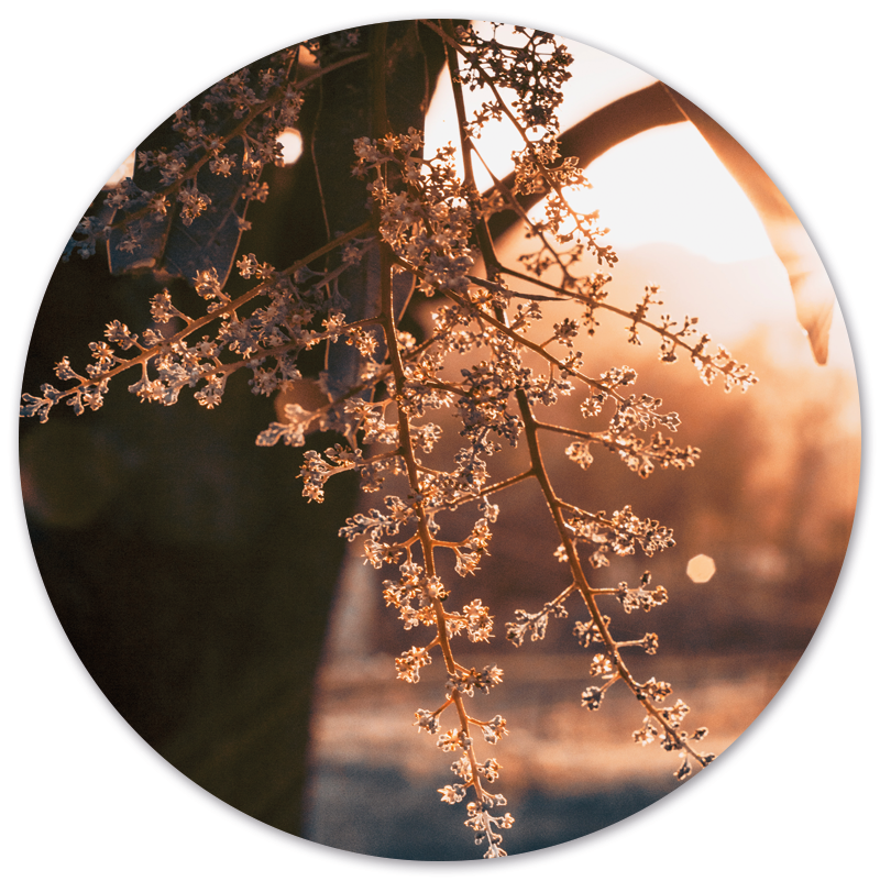 Label2X Woods Forex 40 cm woonaccessoires homedecoratie