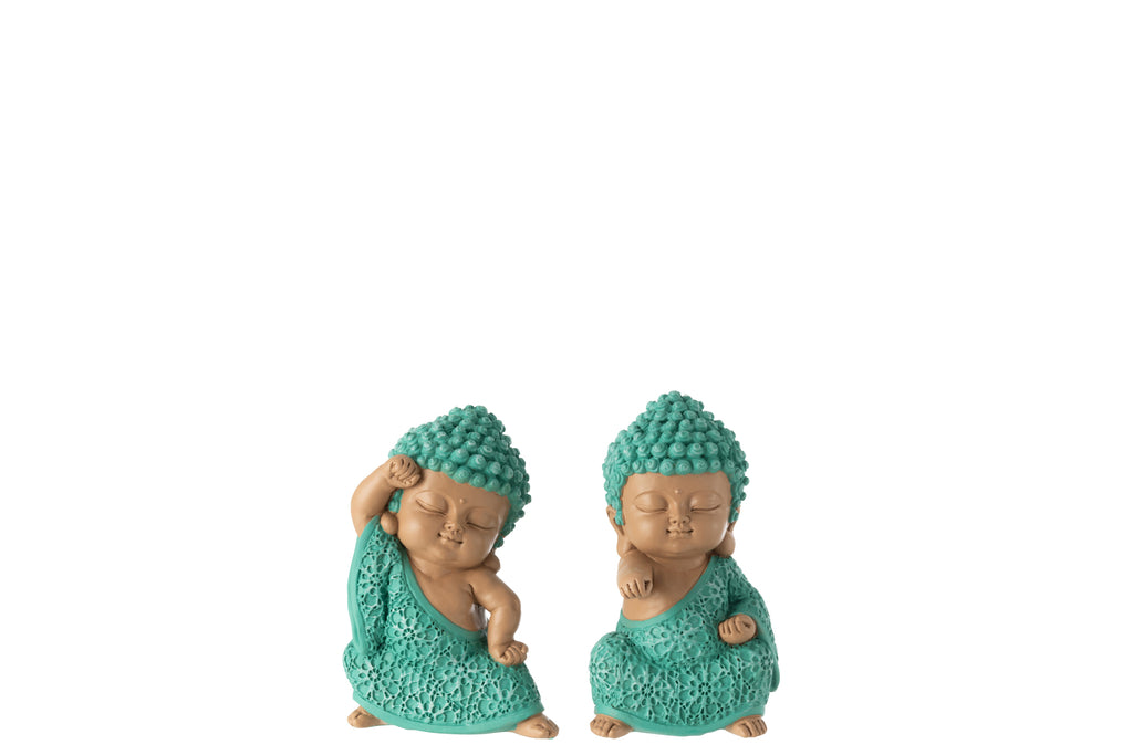 Monniksgevecht Hars Azuurblauw Assortiment van 2