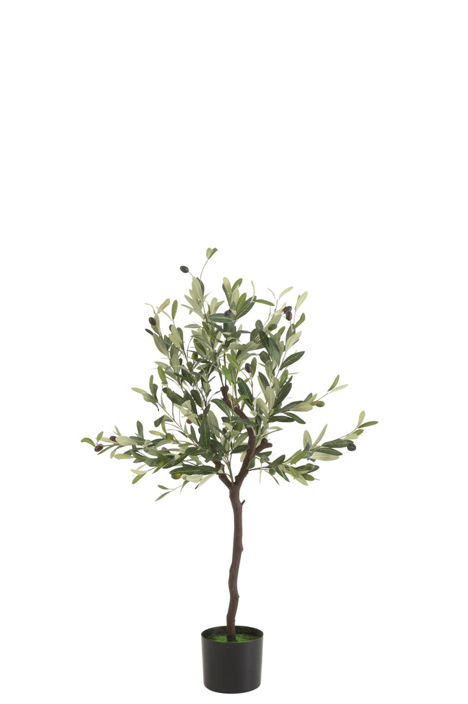 Olijfboom in pot plastic groen middelgroot