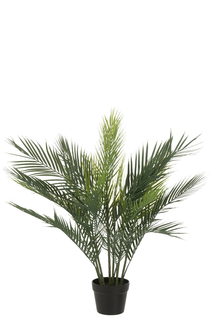 Palmboom Pot kunststof Groen